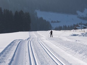 cross-country-skiing-113018_640